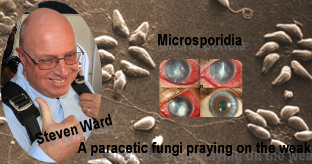 Pension Life blog - Steve Ward compared to Microsporidia in top 10 deadliest pension scams they were number 2