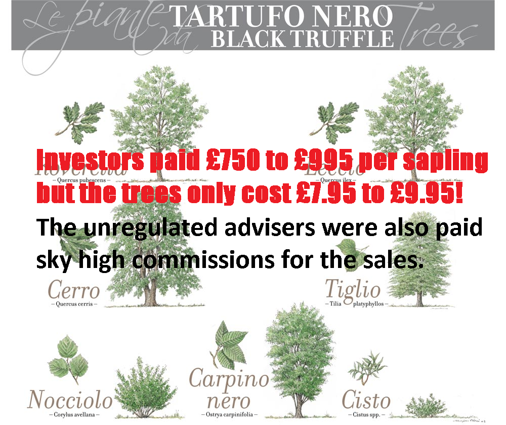 Pension Life Blog - High court finally winds up the truffle saga pension scam Viceroy JonesPension Life Blog - High court finally winds up the truffle saga pension scam Viceroy JonesPension Life Blog - High court finally winds up the truffle saga pension scam Viceroy JonesPension Life Blog - High court finally winds up the truffle saga pension scam Viceroy JonesPension Life Blog - High court finally winds up the truffle saga pension scam Viceroy JonesPension Life Blog - High court finally winds up the truffle saga pension scam Viceroy JonesPension Life Blog - High court finally winds up the truffle saga pension scam Viceroy JonesPension Life Blog - High court finally winds up the truffle saga pension scam Viceroy JonesPension Life Blog - High court finally winds up the truffle saga pension scam Viceroy JonesPension Life Blog - High court finally winds up the truffle saga pension scam Viceroy JonesPension Life Blog - High court finally winds up the truffle saga pension scam Viceroy JonesPension Life Blog - High court finally winds up the truffle saga pension scam Viceroy JonesPension Life Blog - High court finally winds up the truffle saga pension scam Viceroy JonesPension Life Blog - High court finally winds up the truffle saga pension scam Viceroy JonesPension Life Blog - High court finally winds up the truffle saga pension scam Viceroy JonesPension Life Blog - High court finally winds up the truffle saga pension scam Viceroy JonesPension Life Blog - High court finally winds up the truffle saga pension scam Viceroy JonesPension Life Blog - High court finally winds up the truffle saga pension scam Viceroy JonesPension Life Blog - High court finally winds up the truffle saga pension scam Viceroy Jones Truffle trees