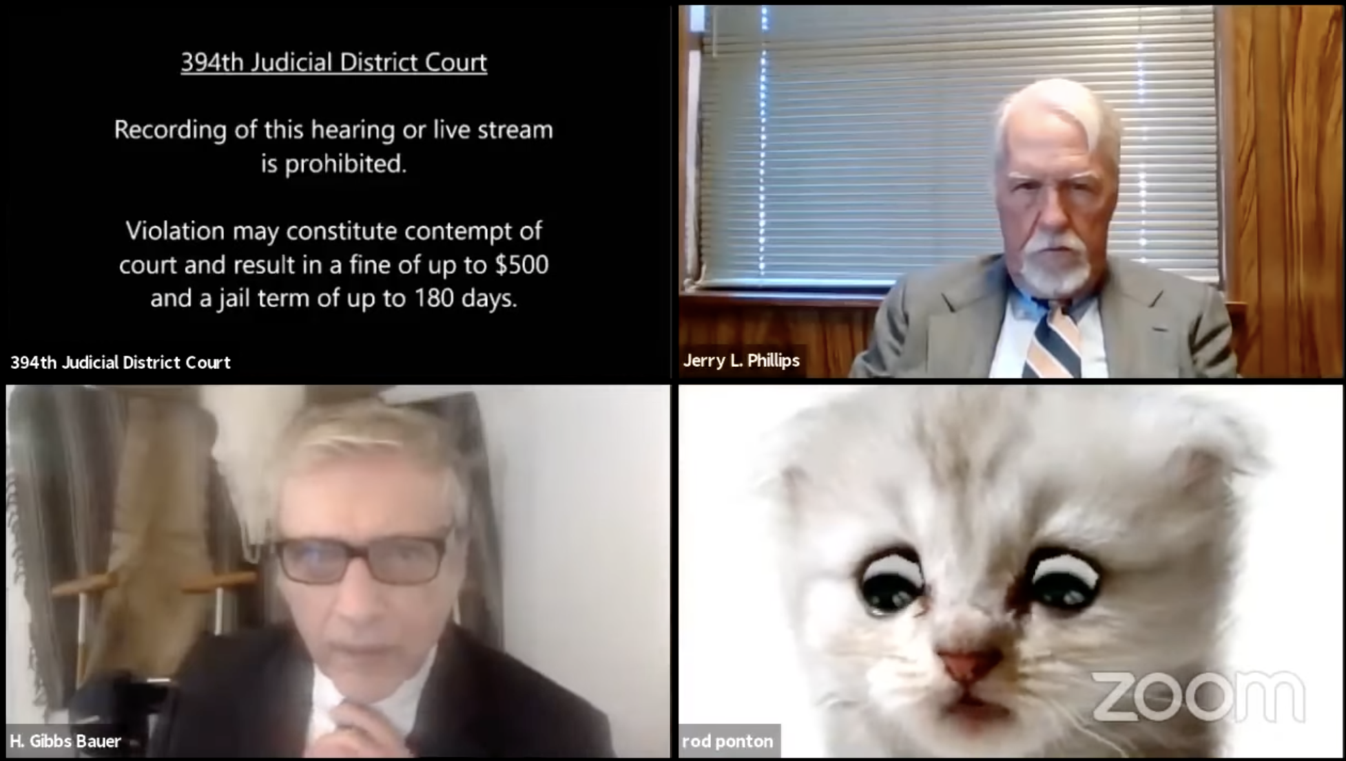 Zoom court meeting where an attendee couldn't turn off a cat filter